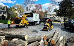 Best Aeration Services  in Glenn Heights, TX